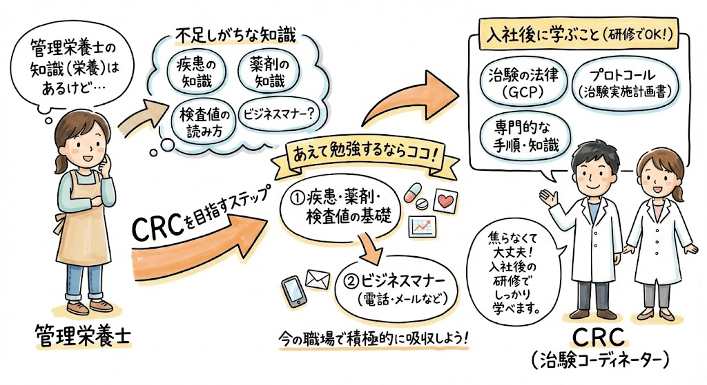 イラスト・図解画像