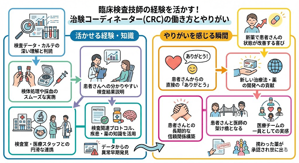 イラスト・図解画像