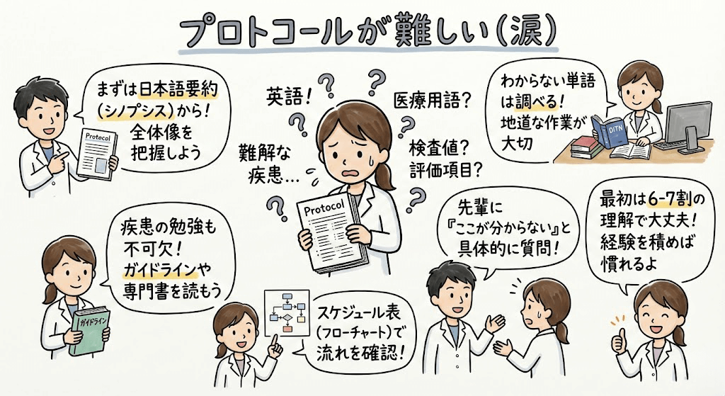 イラスト・図解画像