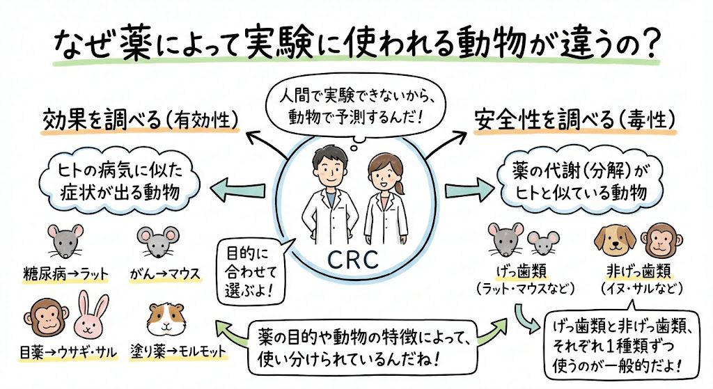 イラスト・図解画像